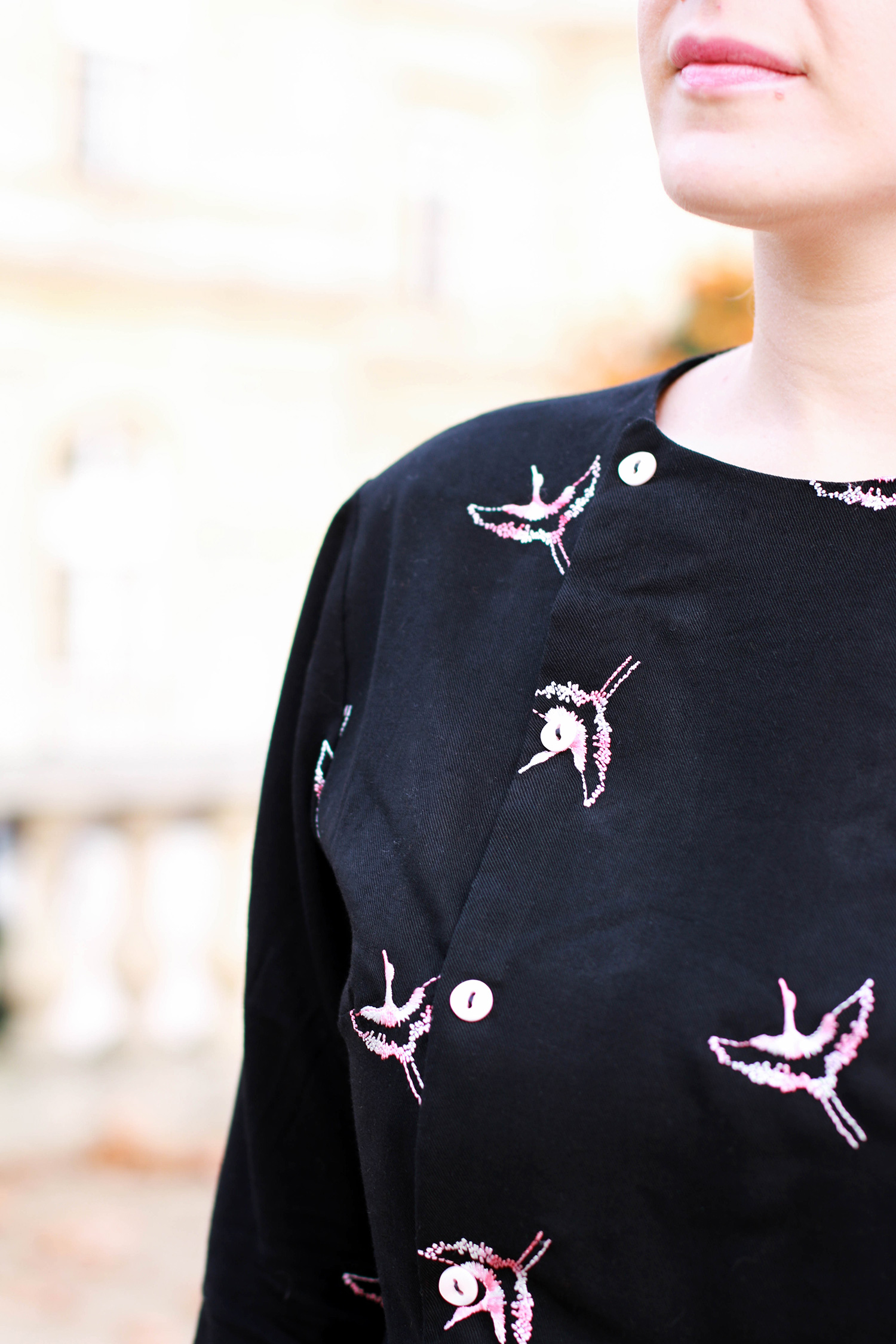 blog-couture-blouse-elona