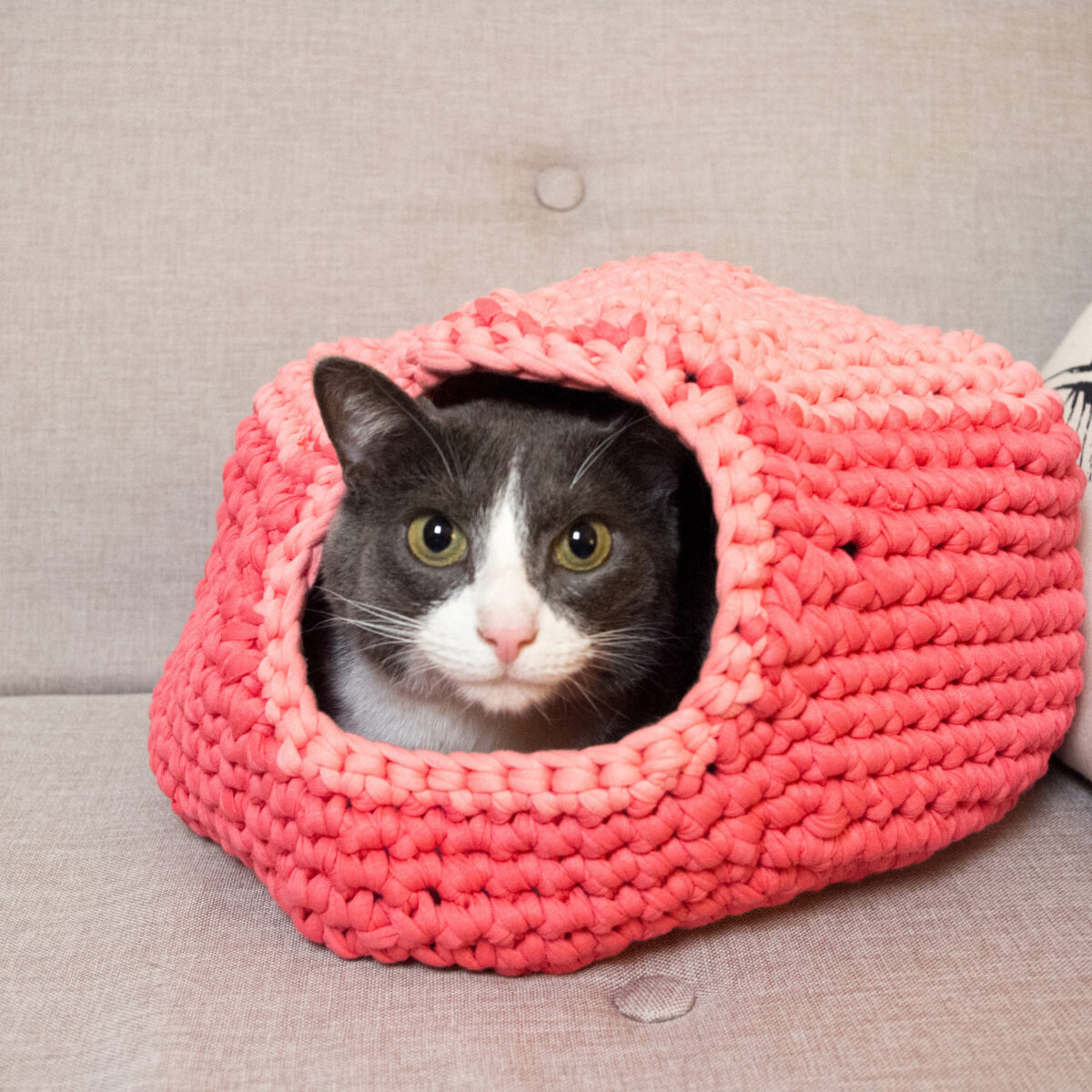 Diy Un Chat Au Chaud Atelier Svila