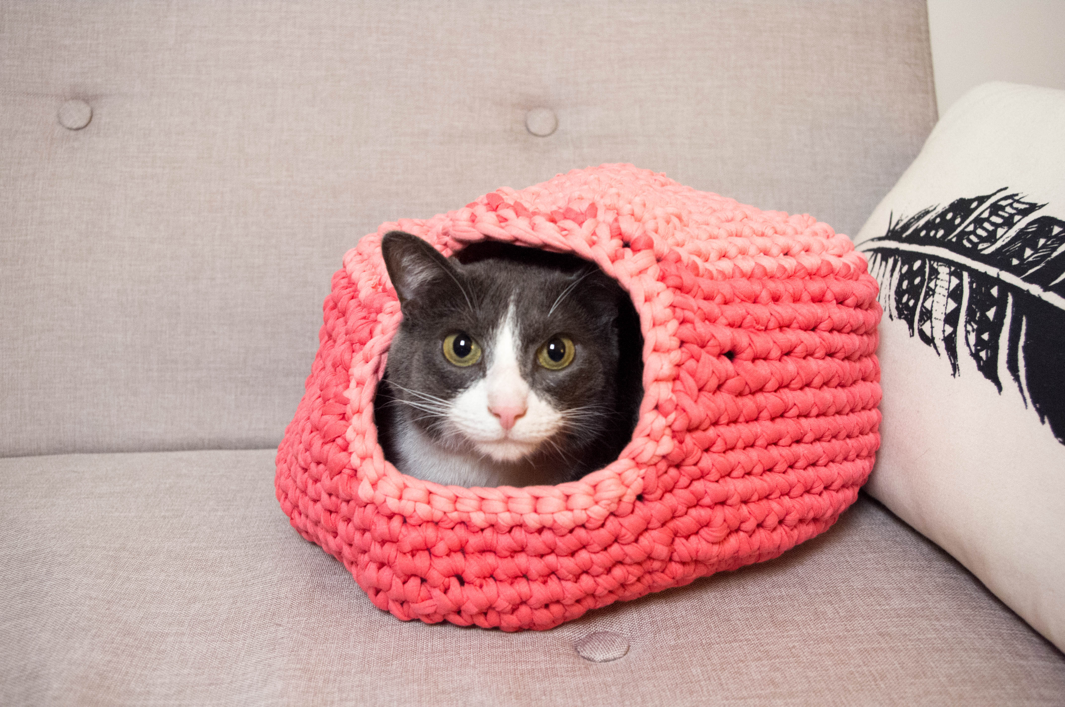 igloo à chat