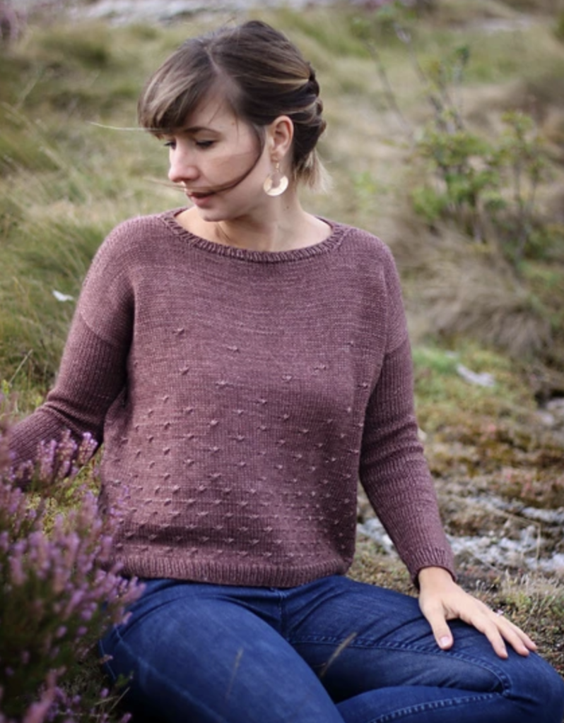 ALONG AVEC ANNA -  Pull Erell